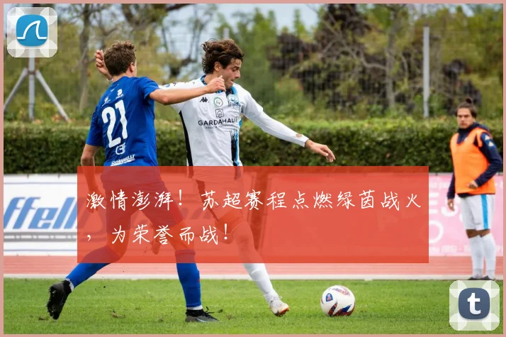激情澎湃!苏超赛程点燃绿茵战火,为荣誉而战!